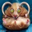 OHMYHIGAD.COM : OhMyHeeGawd!