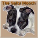 The Salty Mooch : Bark less, wag more!