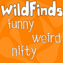 WildFinds : Wild.  Weird.  Wacky.
