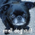 small dog stuff : 