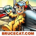Bruce Cat  : Internet Marketing Strategies