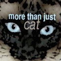 Jazmine Personified : More Than Just Cat
