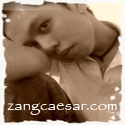 Zang Caesar : the half-sane online wanderer