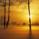 Law of Attraction Secrets : Creating Abundance