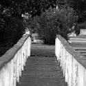 LifeIsRisky : What are you waiting for? If not now when?