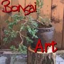Bonsai Art : 