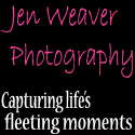 Jen Weaver Photography Blogspot : Capturing Life's Fleeting Moments