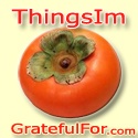 Things I'm Grateful For : Updated Daily.