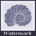 Watermark : A Poet's Notebook