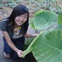 curryegg.com : personal, travel, discussion, friendly, motivation, love