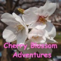 Cherry Blossom Adventures : 