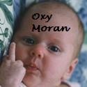 Oxy Moran : The Award-Winning World's Worst Blog
