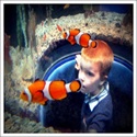 Crumley Family Blog : a family blog for the whole fam damily
