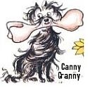 Canny Granny : hints, help & homilies