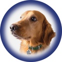 Big Paw Designs Blog : Woof! Meow!  