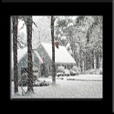 My Life at Deertrees-Maine : 
