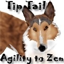 Tip Tail : Agility to Zen