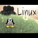 Tablet Junkie : Penquins Rock