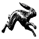 The Leaping Thought : Out of my head and into this blog