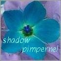 Shadow Pimpernel : My Heart blooms in this Sanctuary of the Soul