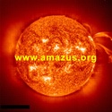 www.amazus.org : amazing news