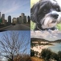 Ellen's Foto Blog : A view inside my world.
