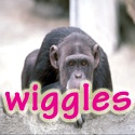 wiggles blog : blogging for real beginners