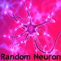 Random Neuron : 