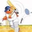 Twenty20 World : Know Anything Everything about Cricket