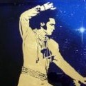 Elvis Lover : Elvis, Thank You, Thank You Very Much!