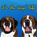 Its the Dogs Life : 