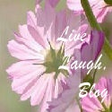 Live, Laugh, Blog : A look into the life of a blind mother of three.