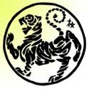 Karate Kyu : My Path to Wholeness, one Kiai at a time