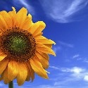 Skyline Coaching Blog : Achieve Life Success
