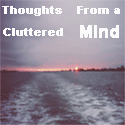 Thoughts From a Cluttered Mind : 