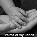 Palms of My Hands : 
