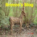 Breeze's Blog :  Healthy Homes