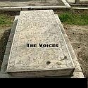 The voices : history