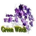Forest Green Witch : The Eco-Spirituality Witch
