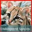 Endangered Spaces blog : Save our endangered spaces before they are gone . . . 