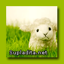 Supladita™ : Dhadha's Other Bloggie