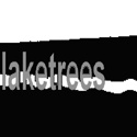 laketrees : award winning portrait artist