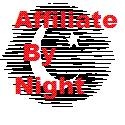 Affiliate By Night : Working Shmucks by Day, Affiliates by Night