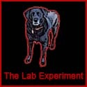 The Lab Experiment : The life  times of Gunner, an 8 year old black lab.