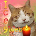 Ice 9 Web : Aice Nice Concepts