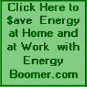 Energy Boomer : Save Money by Saving Energy Both at Home and at Work 