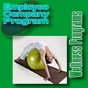 Wellness Programs : Wellness, Employee, Company, Programs