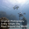 Everything Everywhere : Doing what  you've always wanted to do