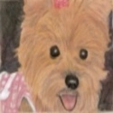 Impawsible To Resist  : It's about life, art, pets....