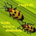 Foodie, Travel and Shutter Bug : Taste the food and see the sights through My Bug Life trail